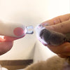 Una mano sostiene un cortador profesional de uñas para mascotas LED, mostrando el dispositivo y una pata de gato gris.
