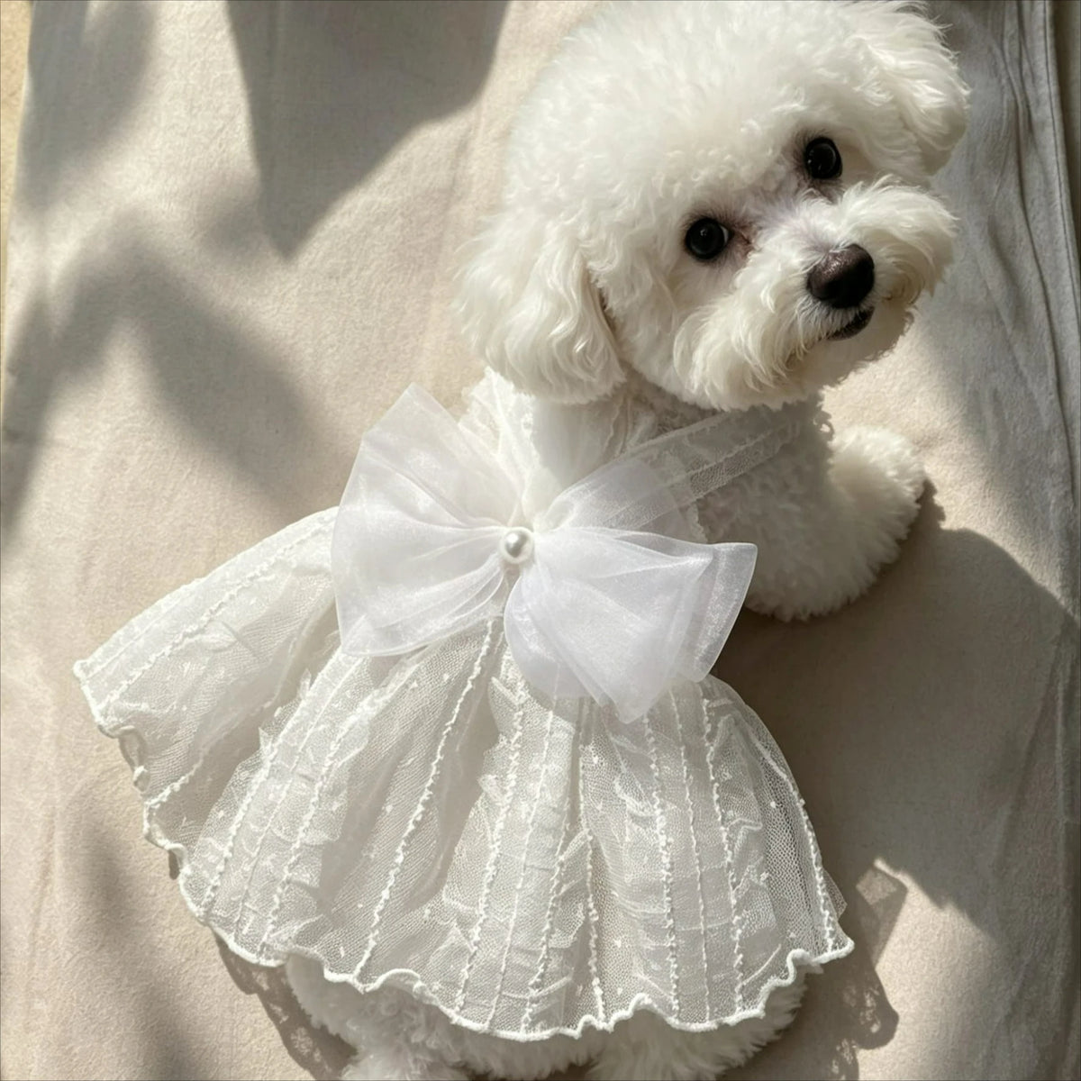 Elegant Pet Princess Dress for Dogs and Cats