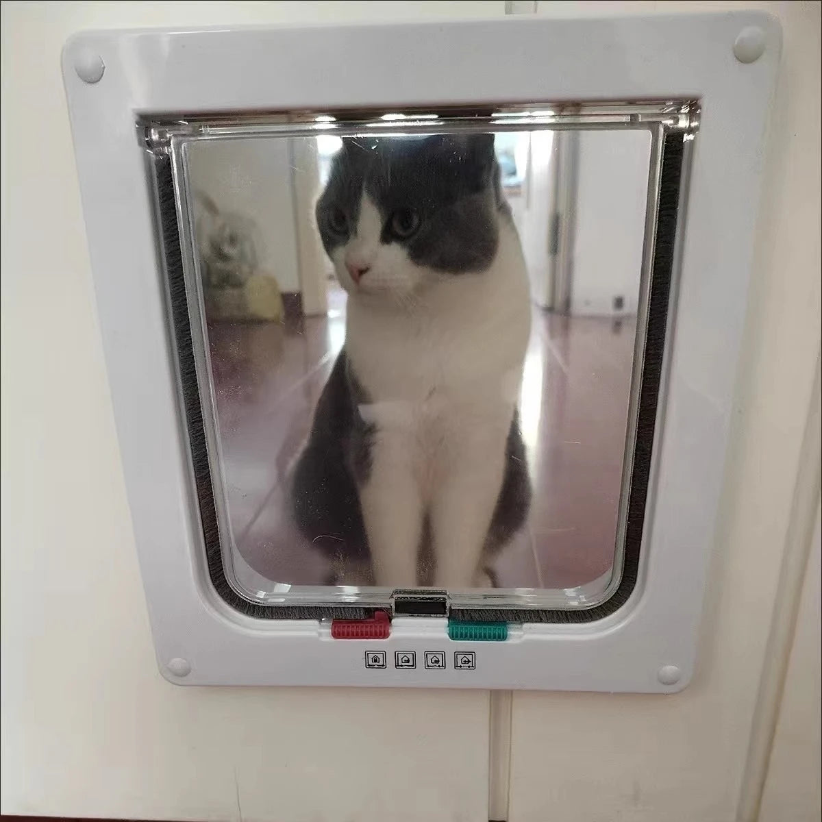 Una foto enmarcada de un gato en blanco y negro se muestra en una solapa de puerta para mascotas con bloqueo de 4 vías.