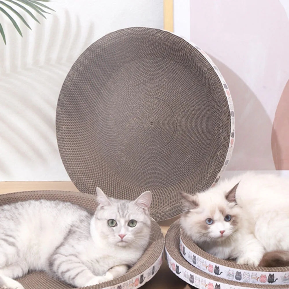 A fluffy white kitten is relaxing inside a round, bowl-shaped corrugated scratching pad for cats.