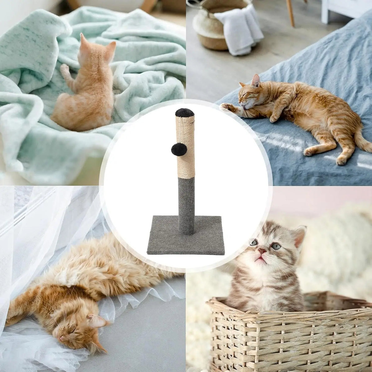 A minimalist sisal cat scratching post shown in various contexts with cats using it.