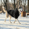 Ein Husky mit schwarzem Fleeceanzug rennt auf einem verschneiten Weg.