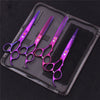 A set of five professional stainless steel pet grooming scissors and combs in purple and silver housed in a black case.