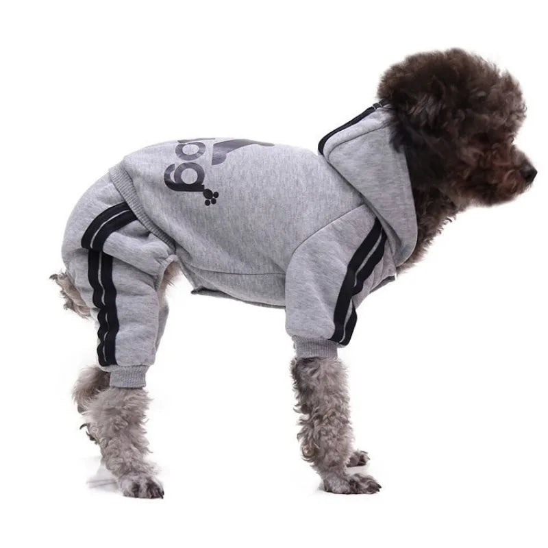 Grauer stilvoller Hundewasch-Anzug für einen kleinen Hund.