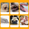 A collage of various pets, including a cat and a dog, showing their mouths and faces.