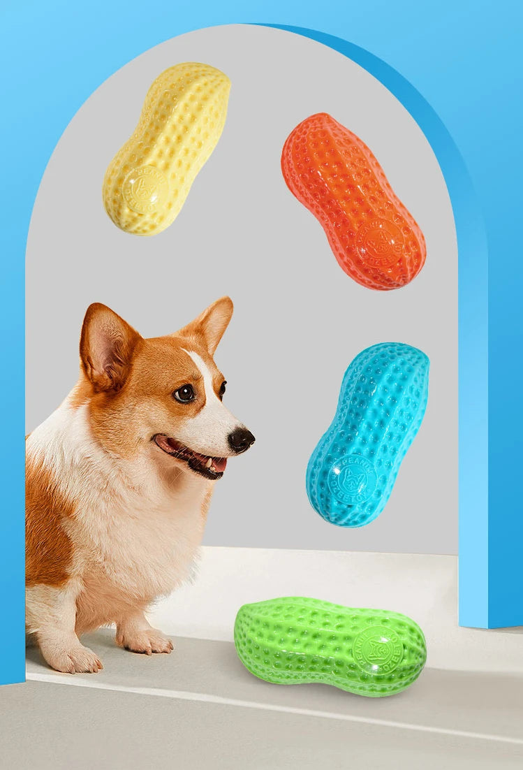 Ein Hund schaut auf verschiedene bunte, strukturierte Kauspielzeuge in einem Bogenrahmen.