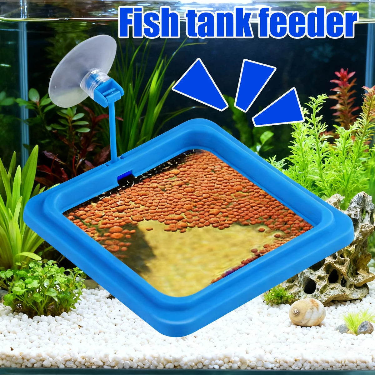 Anneau d'alimentation bleu pour aquarium avec pipette et nourriture.
