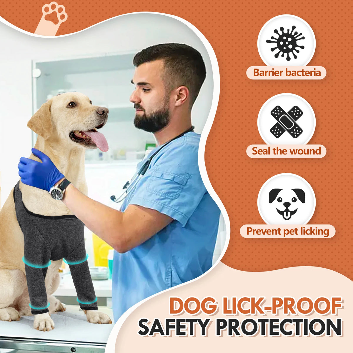 A veterinarian applies a dog lick-proof safety protection barrier to a dog's leg wound.