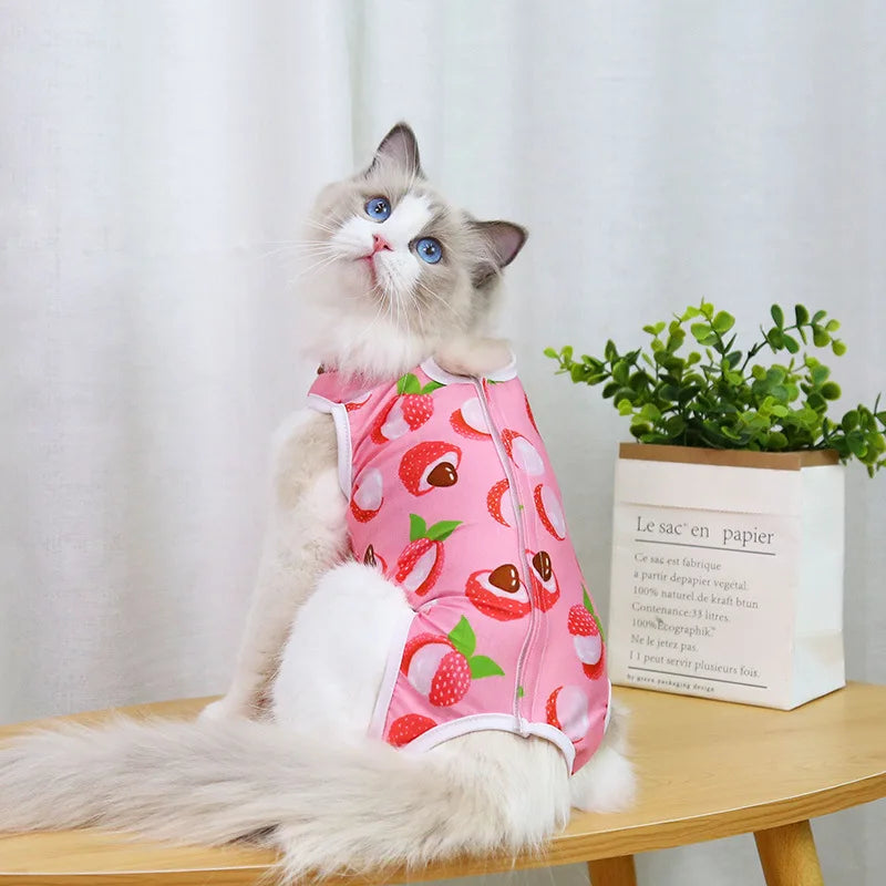 A fluffy blue and white cat wearing a pink recovery vest with strawberry patterns.
