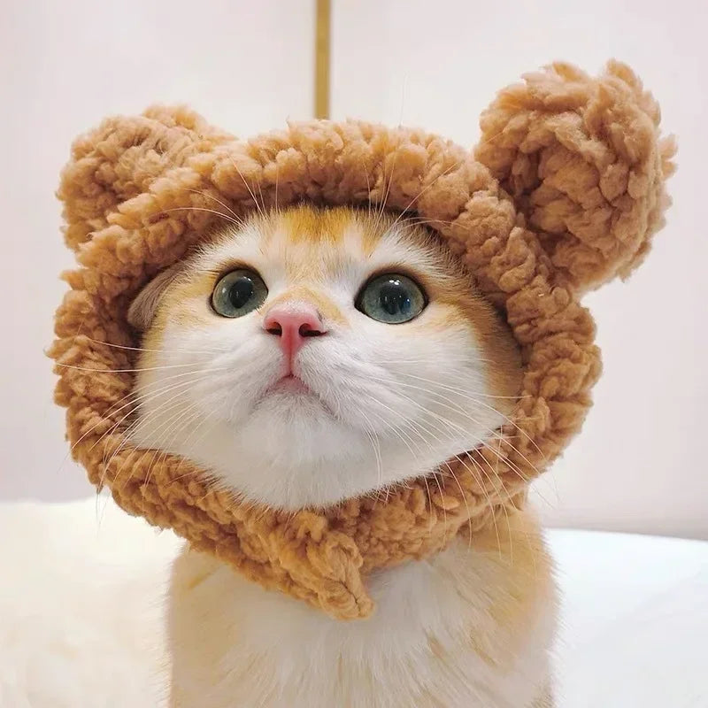 Ein flauschiger orange tabby Kater mit braunem Strickhut und großen grünen Augen.