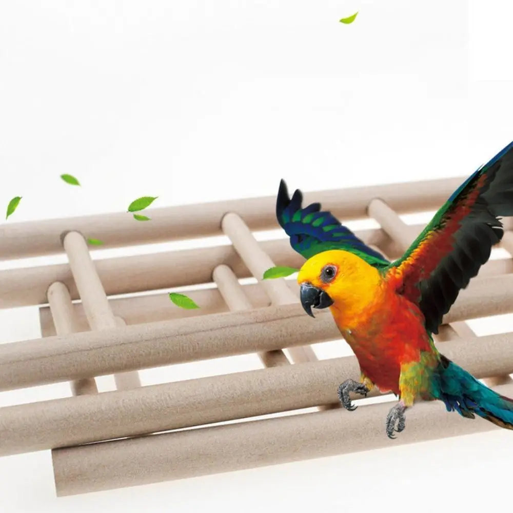 A vibrant yellow and orange parrot is perched on a wooden bird ladder with hooks against a white background.