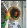 A natural straw bird nest containing two small birds inside a wire cage.