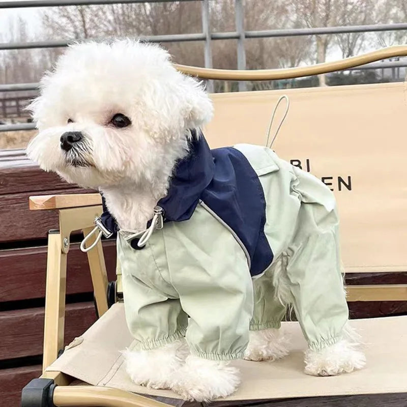 Un chien blanc et duveteux portant une combinaison imperméable vert clair sur un support en bois.