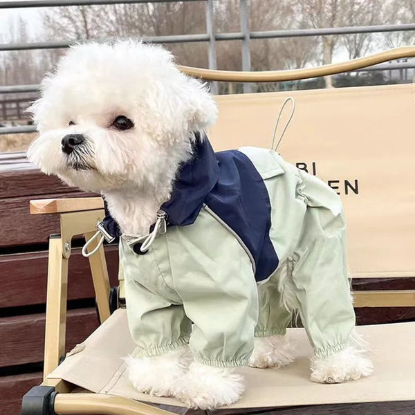 Un chien blanc et duveteux portant une combinaison imperméable vert clair sur un support en bois.