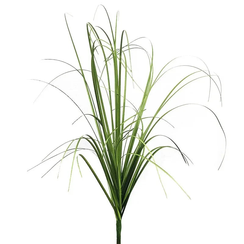 Un bouquet de fines tiges de ciboulette miniature pour décoration de jardin.