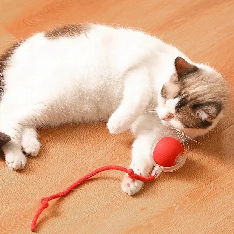 A white and gray cat is playing with an orange ball toy on a wooden floor.