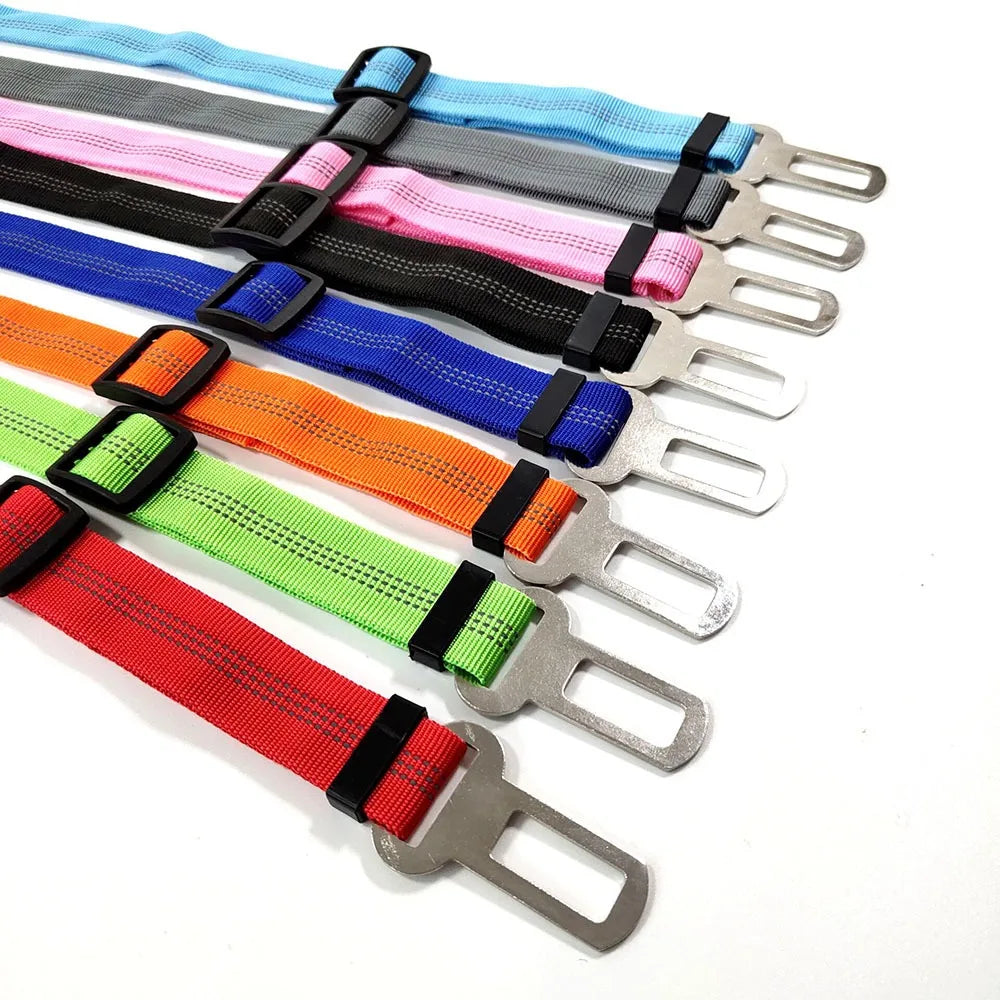 A collection of colorful reflective dog seat belts with nylon harnesses and metal buckles.