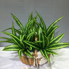 A vibrant green artificial tropical palm plant with striped leaves displayed in a woven basket.