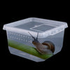 A clear plastic reptile habitat box containing a green leaf for a small lizard.