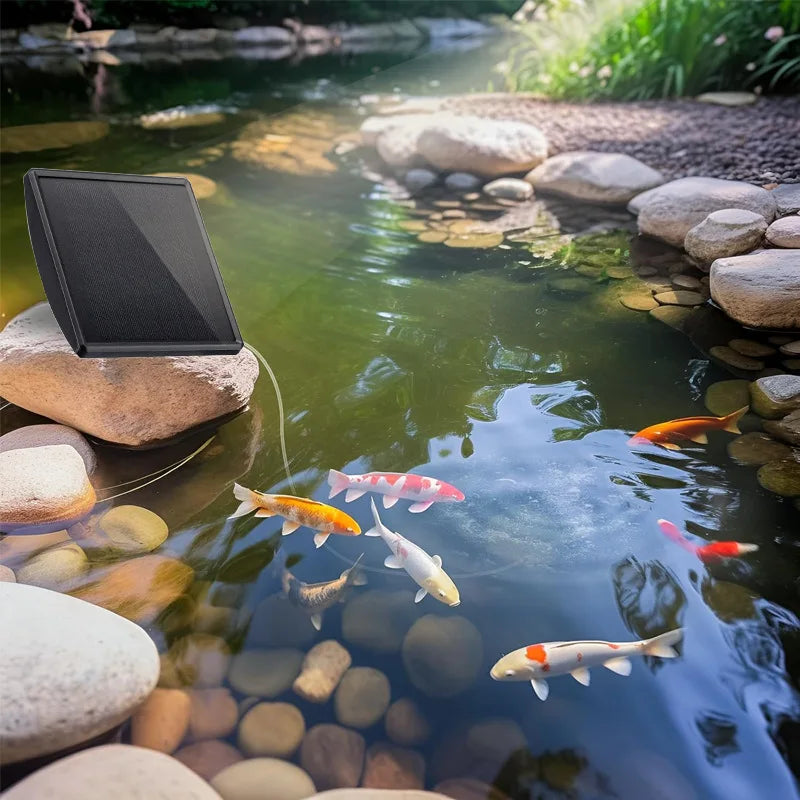 Une pompe aérateur de bassin à énergie solaire est visible dans l'eau claire parmi les rochers et les plantes aquatiques.