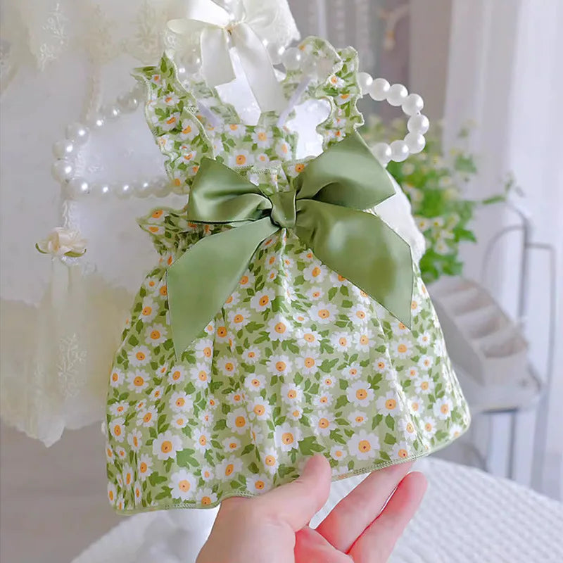 A small dog is holding a green and white floral princess style summer strap dress with a sheer white ribbon bow.