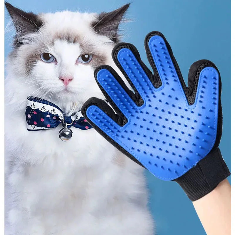 Ein flauschiger weißer Kater schaut auf eine blaue Silikon-Tierhaarbürste und Massagebürste.