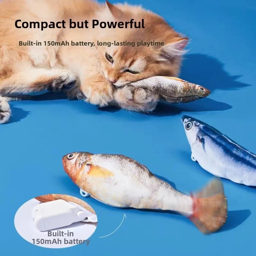 A fluffy orange kitten is playing with a small fish toy, demonstrating the compact but powerful features of an interactive ca
