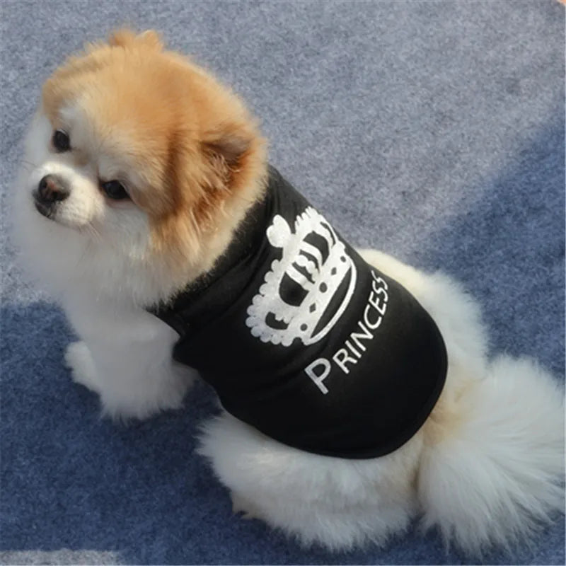 Un perro peludo marrón claro y blanco vistiendo un chaleco de disfraz negro con diseño de corona.