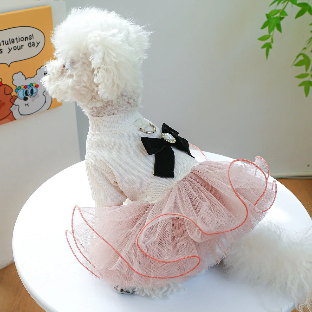 A fluffy white dog wearing a pink lace pet dress with black bow accents.