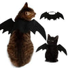 Un chat brun portant des ailes de chauve-souris noires en costume cosplay.