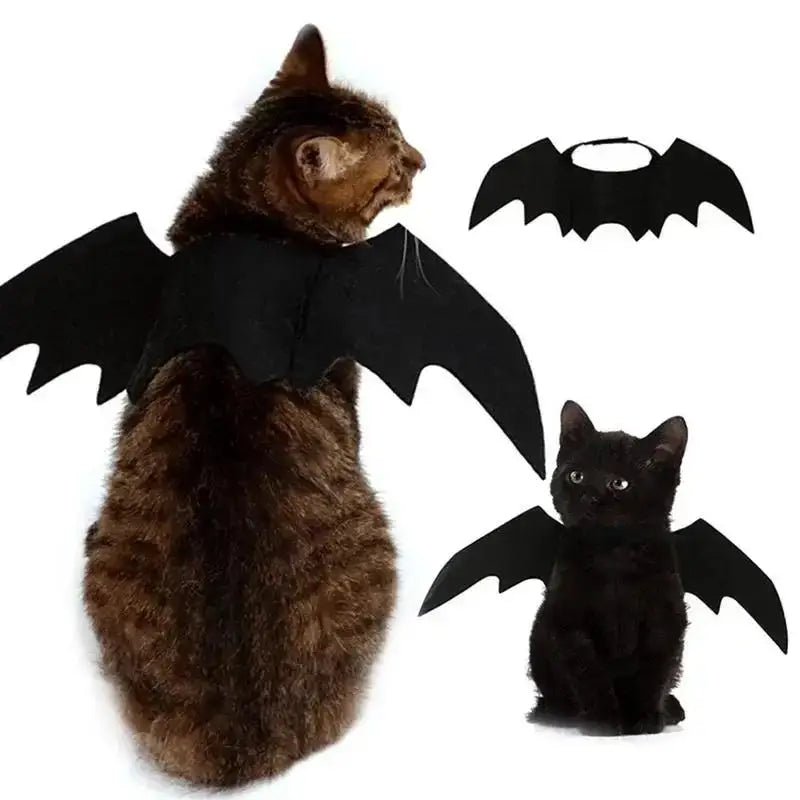 Un chat brun portant des ailes de chauve-souris noires en costume cosplay.
