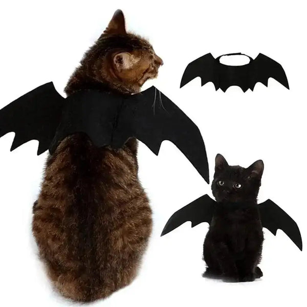 Un chat brun portant des ailes de chauve-souris noires en costume cosplay.