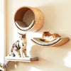 Árbol de gato de madera de varias capas y rascador montado en la pared con un cuenco y plataformas naturales.