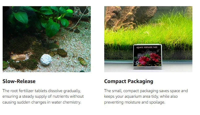 Une petite boîte noire de pastilles d'engrais racinaire devant des plantes aquatiques vertes et vibrantes.