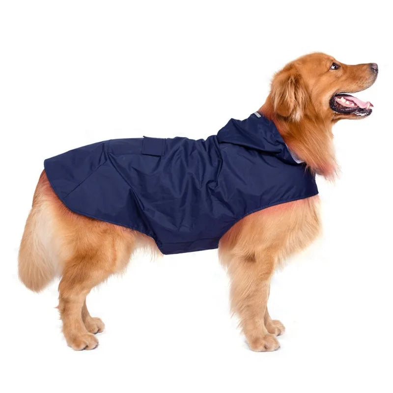 A golden retriever wearing a navy blue reflective waterproof dog raincoat.