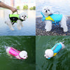 Three dogs wearing colorful life jackets for swimming and water safety