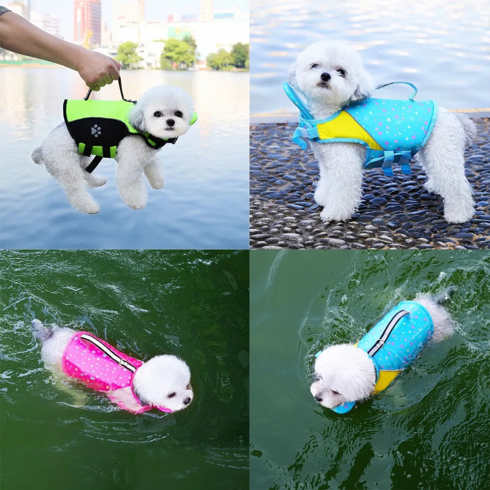 Three dogs wearing colorful life jackets for swimming and water safety
