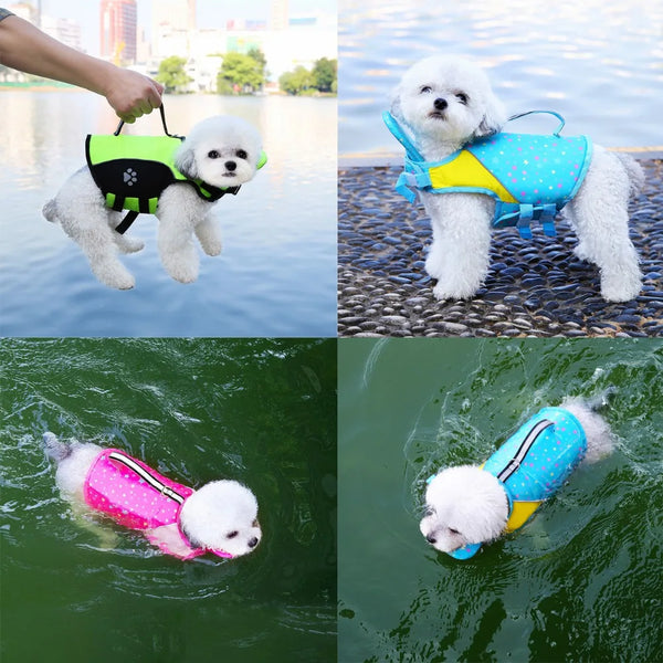 Three dogs wearing colorful life jackets for swimming and water safety