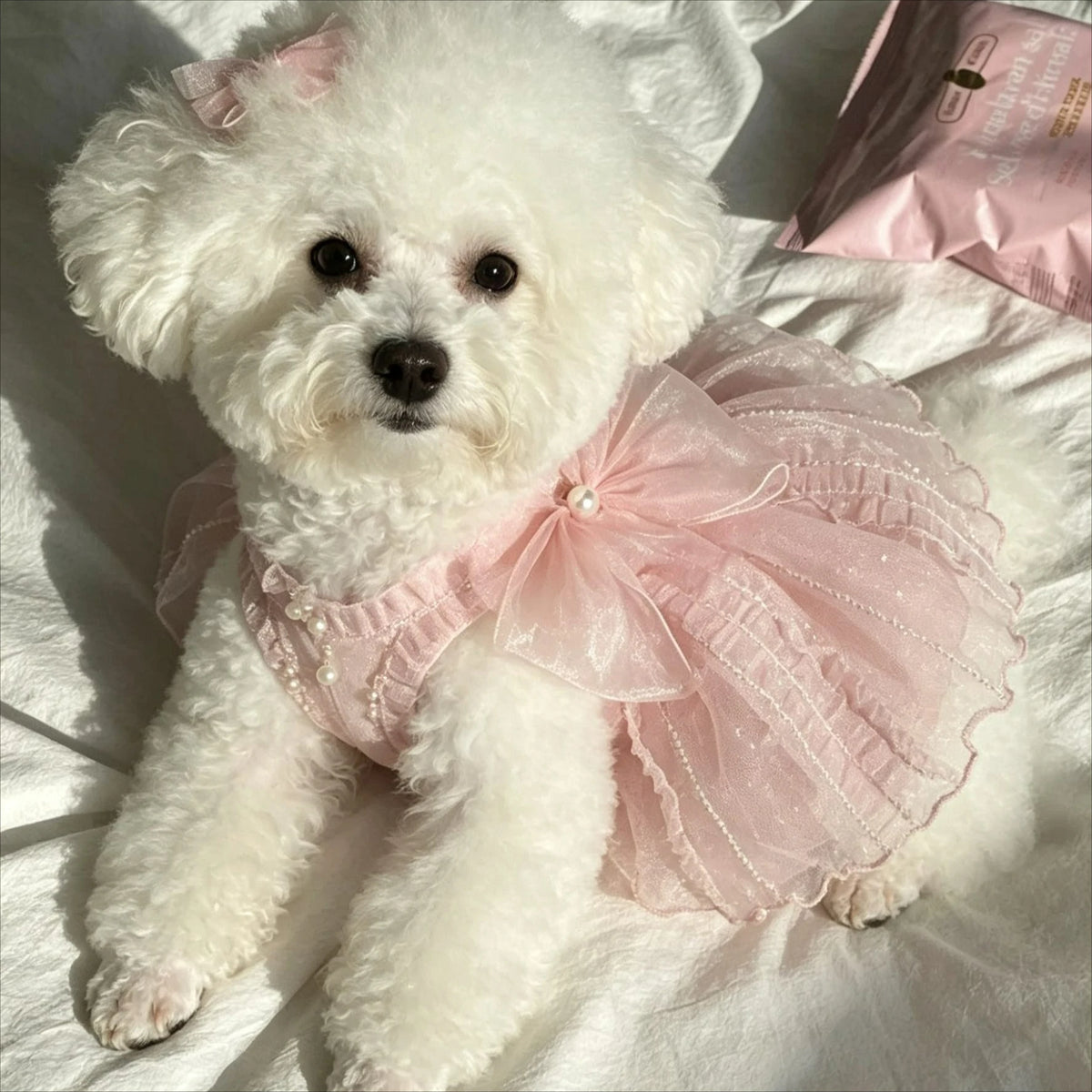 A fluffy white dog wearing a pink tulle dress and a pearl collar, lying on a white surface.