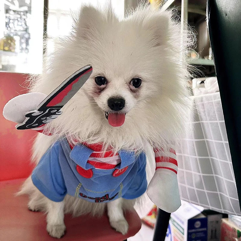 A fluffy white dog wearing a blue Halloween costume with red stripes and a black accessory.