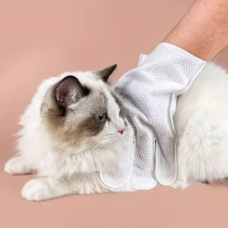 Un gato gris y blanco peludo descansa sobre una superficie junto a un guante desechable para quitar el pelo de mascotas blanc