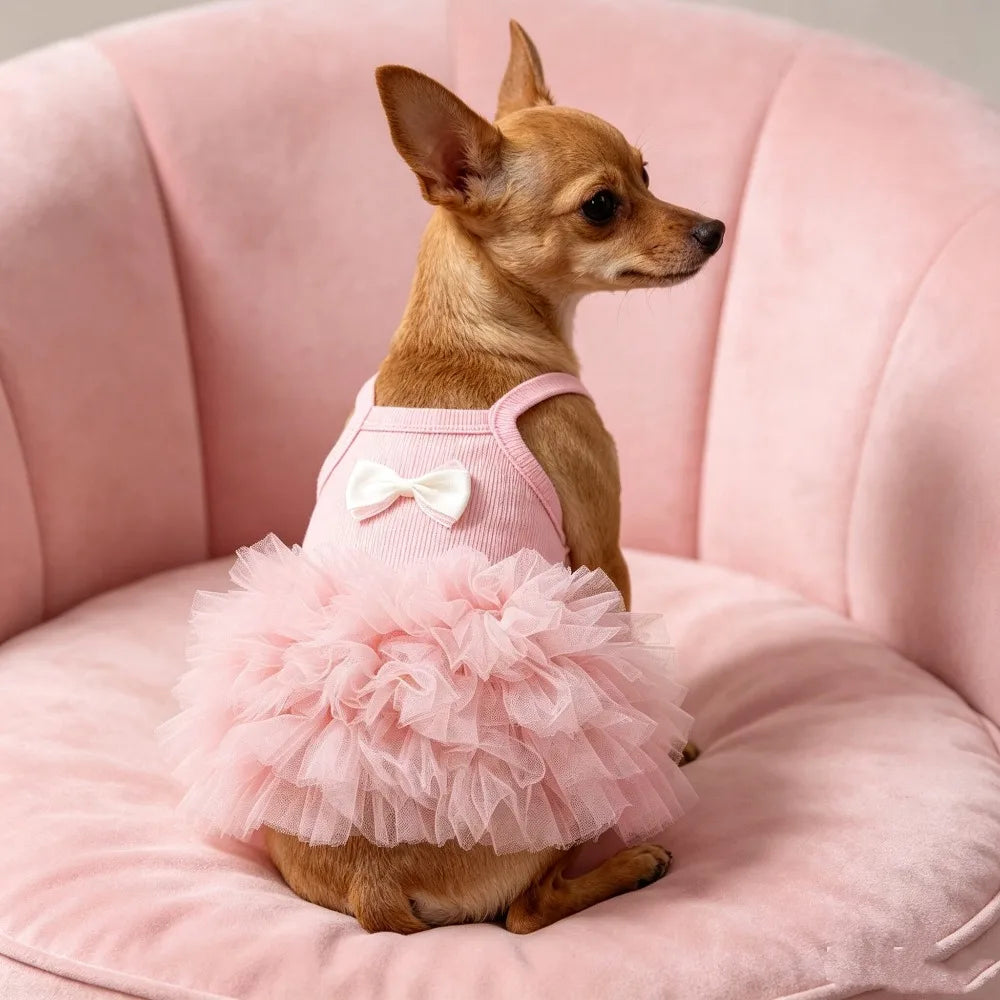 A small brown dog wearing a pink suspender dress with a tulle tutu skirt sitting in a pink velvet bowl.