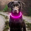 Un chien noir portant un collier LED rose lumineux à l'extérieur.