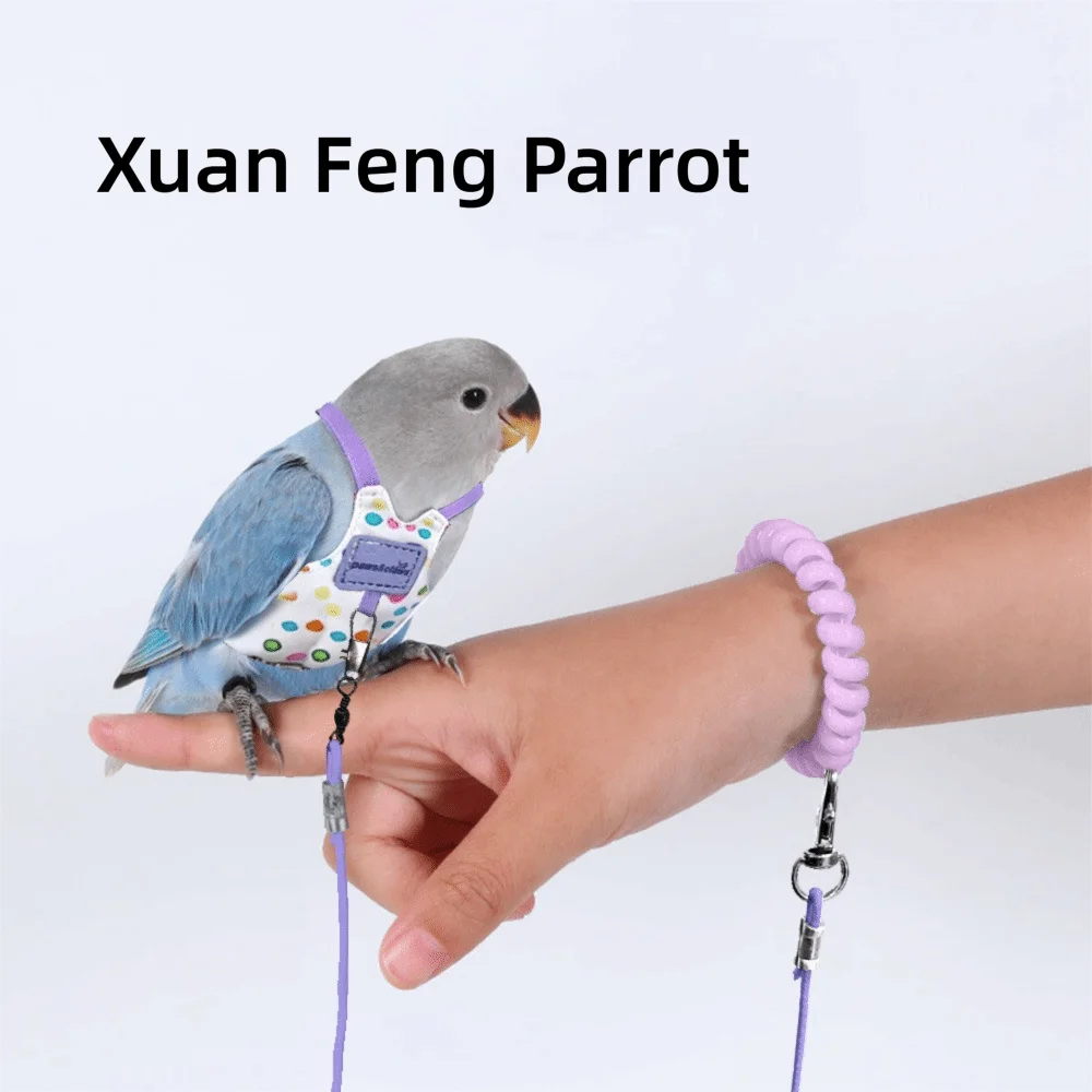 Une main tient un petit perroquet bleu avec une attache et une bande de jambe.