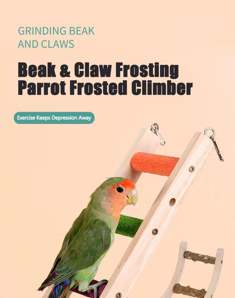 Ein Papagei klettert an einer hölzernen, mehrstufigen Vogel-Kletterleiter zum Frosting von Füßen und Krallen.