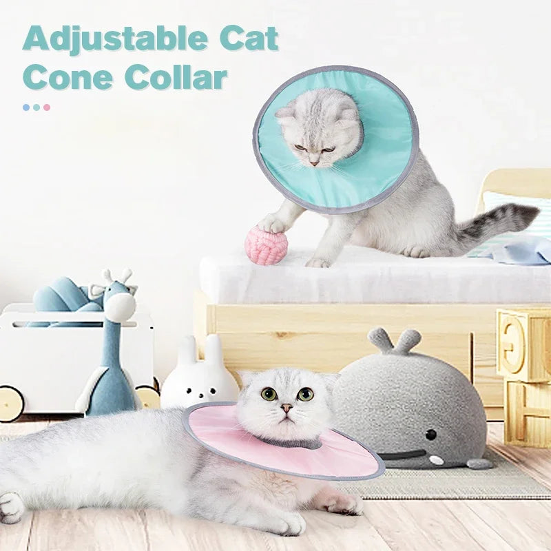 Collier de cône ajustable pour chaton et chat, démontrant son utilisation pour la récupération vétérinaire.