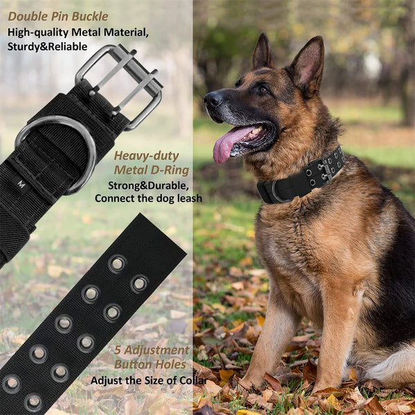 A brown German Shepherd wearing a black tactical nylon dog collar with a metal buckle and adjustment holes.