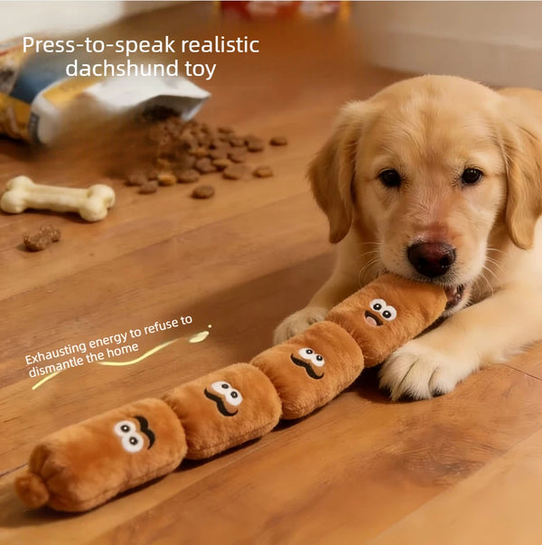 Un chiot dachshund doré est allongé à côté d'une rangée de jouets à mâcher doux et compressibles sur un plancher en bois.