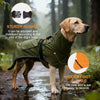 A dog wearing a green raincoat with a sturdy buckle and loose foot buckle walking in the rain.