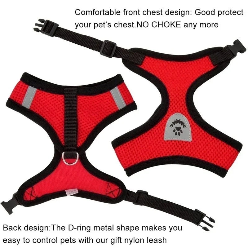 Red pet harness and nylon leash set with a D-ring design for controlling pets